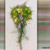 image14