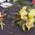 image01