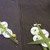 image02