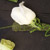 image02