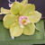 image05