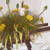 image02