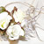 image02