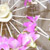 image05