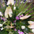 image03